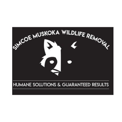 Simcoe Muskoka Wildlife Removal